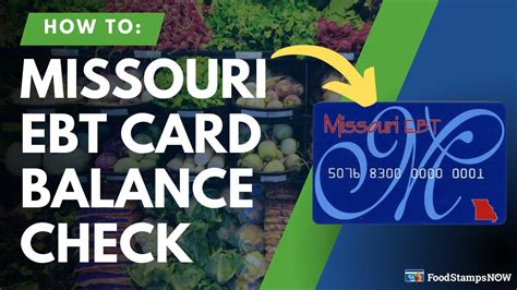 michigan ebt balance